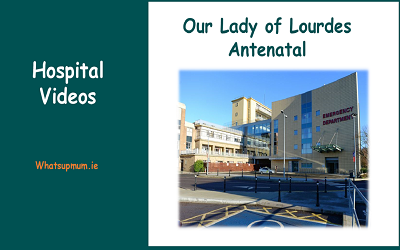 Hospital Education Playlists 1