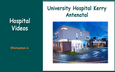 Hospital Education Playlists 1