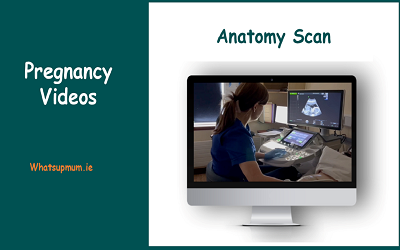 Pregnancy Videos Ireland | Expert Hospital Maternity Advice