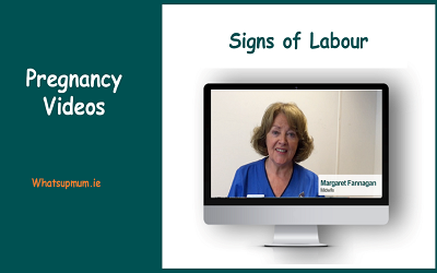Pregnancy Videos Ireland | Expert Hospital Maternity Advice
